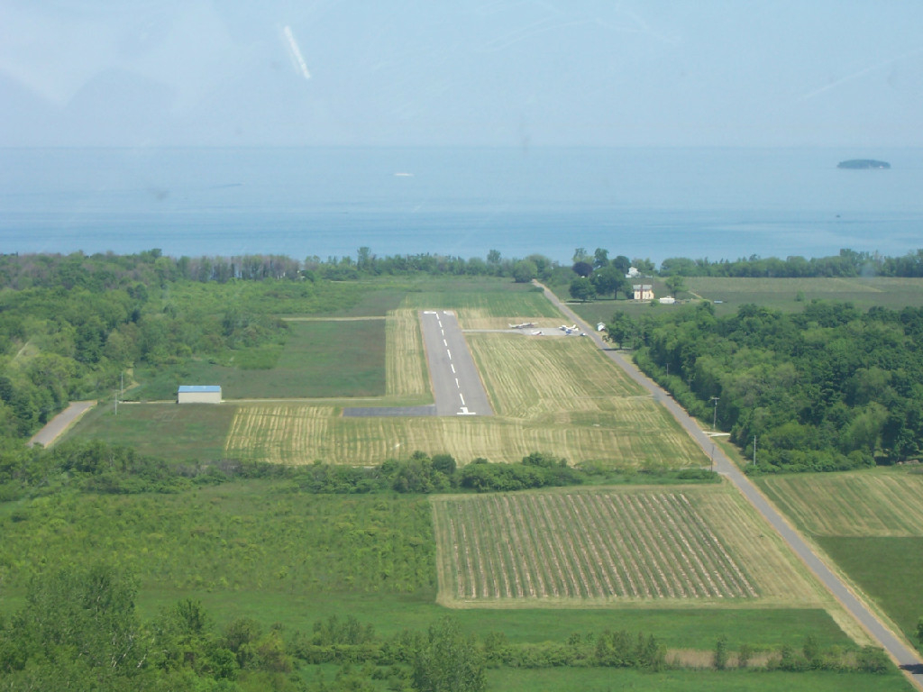 An aerial view of a field with crops and trees.