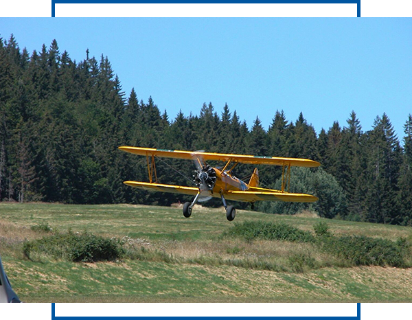 A yellow biplane flying over the grass.